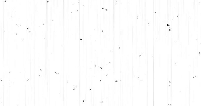 How Old Is Erwin Smith In Yu Yu Hakusho? No Record Found.